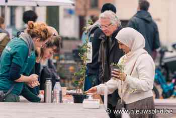 Borgerhoutenaars vergroenen collectief hun buurt tijdens zevende Groeidag