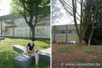 Broederschool barst uit haar voegen: “Oude sporthal maakt plaats voor extra klaslokalen”