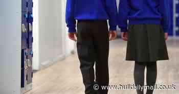 More Hull children offered their first-choice primary school