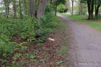 Verdacht auf Giftköder-Fund in der Aaseestadt