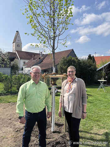 Neuer Schattenspender für Kindergarten in Oberroth