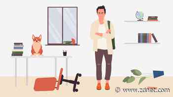 Getting a puppy? 4 things you absolutely need