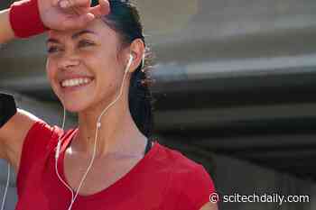 Exercise Silences Stress in the Brain