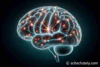 Exploring a Seeming Paradox: Pioneering Map Reveals Pathways to Treating Neurological Disorders