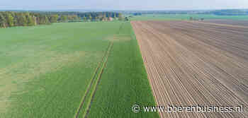 Duitse coöperaties rekenen op kleinere tarweoogst