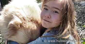 Family flees Portugal after locals kill pets and make death threats