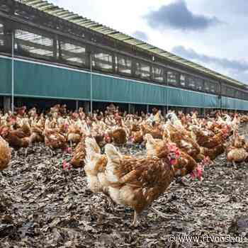 Door deze twee dieren zijn er deze eeuw meer landbouwdieren in Overijssel