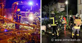 Sturmtief Yupadee trifft Franken: Baum stürzt direkt bei Polizei um