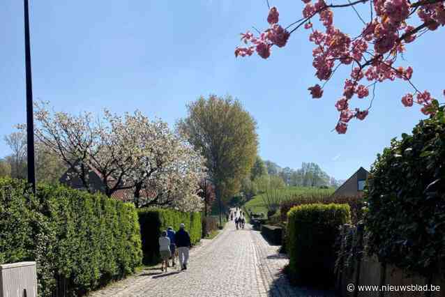 Wandelclub schuift Koppenberg en Paterberg voor de voeten