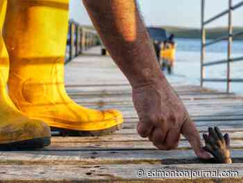 NorthwestFest and Rainbow Visions Film Fest boosting local in its 54 films May 9-19