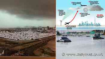 What is cloud seeding? Step-by-step graphic reveals how the weather modification technique works - as experts question whether it was to blame for the Dubai floods