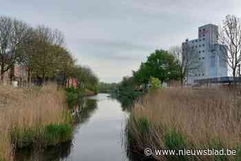 Zeven mogelijke zwemzones in open lucht, maar stad zegt nee: “Niet onze verantwoordelijkheid”