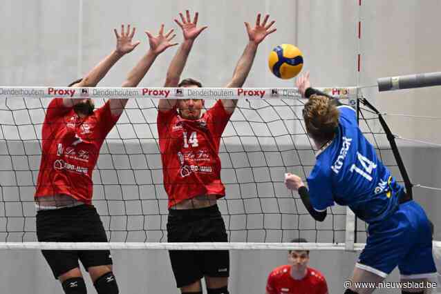 VOLLEYBABBELS. DDV Denderhoutem grijpt naast de titel, maar VC Hebo Borsbeke-Herzele B en D’Hondt Volley Oudenaarde B schieten wel raak bij de vrouwen