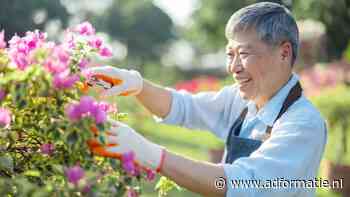 Hoe Blue Zones thuishaven zijn voor 100-jarigen
