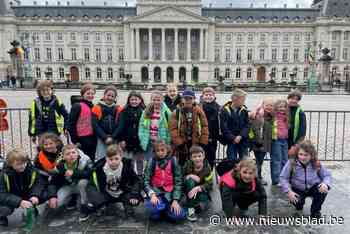 Klas uit Hoeselt ontmoet koningin Mathilde op straat in Brussel: “Ze hadden babbeltje over het slechte weer”