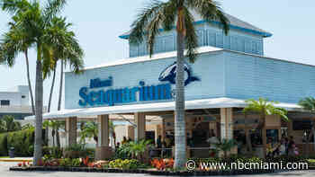 Miami Seaquarium approaches eviction deadline as new USDA report raises concerns