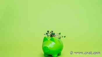 Go Green Without Going Broke: 9 Eco-Friendly Hacks That Also Save Me Money     - CNET