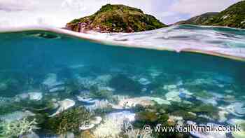 The Great Barrier Reef suffers its worst summer on record: Corals experience extreme bleaching in addition to floods, cyclones, and outbreaks of deadly starfish, scientists warn