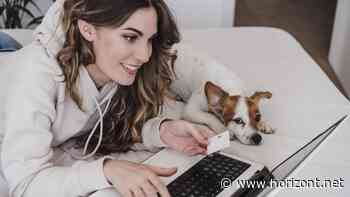 Ad-Alliance-Studie: Diese Medienkanäle befeuern die Produktsuche im Netz am besten