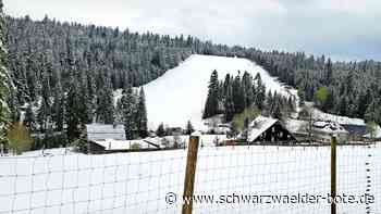 Plötzlich wieder Winter: April-Wetter sorgt für viel Schnee auf dem Kaltenbronn