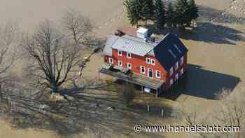 Immobilien : „In München kann es so heiß werden wie in Marrakesch“: Hauskäufer sollten Umweltrisiken kennen