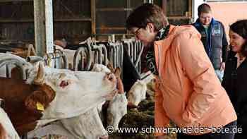 Bauernhof-Eis aus Gültlingen: Regionalität leidet unter  Vorschriften