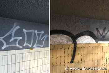 Duizenden euro’s  om voetgangerstunnel op te knappen, maar vandalen hebben muren al weer bespoten