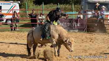 No al rodeo, l’organizzatore protesta: “Noi gli animali li trattiamo bene, pronti ad azioni legali”