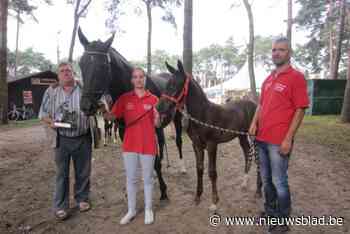 Laatste boer van Wijnegem overleden, Marcel Jacobs bleef altijd op Nachtegaelehoeve wonen: “Boerenstiel was zijn lang leven”