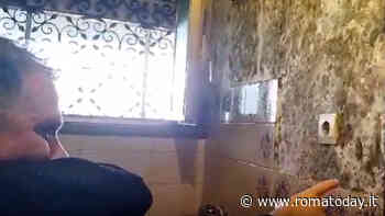 Muffa sulle pareti e aria irrespirabile. La vita in una casa Ater di Mafalda, malata oncologica