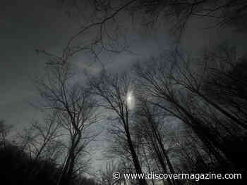 I Traveled to See the 2024 Total Solar Eclipse and Discovered Mindfulness