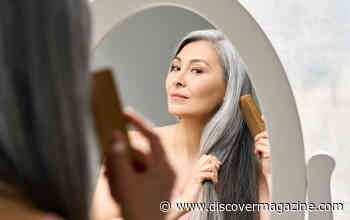 Essential Supplements Like Vitamin D Could Help Prevent Hair Loss