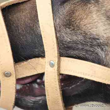 'Kaj is een gevaarlijke hond en moet met muilkorf worden uitgelaten'