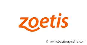 Synovex Choice® receives additional label indication for dry lot cattle