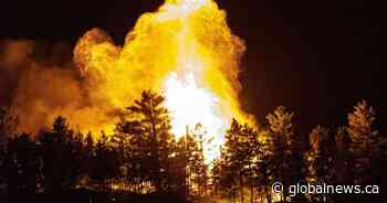 Officials in New Brunswick brace for another ‘horrific’ wildfire season