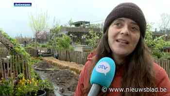 Coöperatieve achter dakboerderij PAKT zoekt daken voor uitbreiding: “Zonnepanelen zijn ons vaak voor”