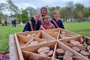 Van bijenhotel over fietsparcours tot boomklimmen: buitenspeeldag van kindergemeenteraad is groot succes