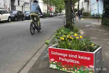 Viel Lob für die Blumenkübel-Aktion im Kreuzviertel