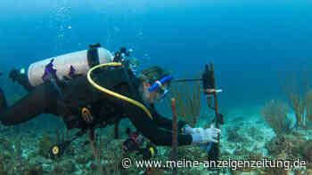 Natur-Experte warnt eindringlich: Die Welt steht vor einer „tödlichen Ruhe“