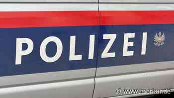 „Man fühlt sich an die Eislady erinnert“: Bauarbeiter finden kopflose Leiche in österreichischem Mietshaus