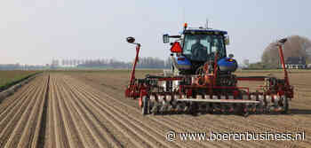 'Biologische uienareaal neemt dit jaar licht toe'