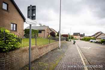 Waarom Kortessem koning Boudewijn kopje kleiner maakt en Hasselt tulpen in madeliefjes verandert