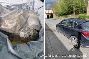 Suspected cannabis seized from car in Accrington