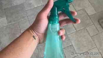 Spring Clean Naturally: DIY 3-Ingredient All-Purpose Cleaner Recipe     - CNET