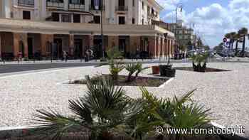 Ostia, arrivano le palme in piazza dei Ravennati: il restyling è terminato