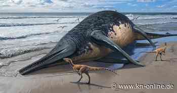 Mädchen findet Überreste eines mehr als 25 Meter langen Meeresreptils