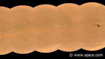 Ingenuity team says goodbye to pioneering Mars helicopter