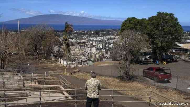 Communications breakdown left authorities in the dark and residents without alerts amid Maui fire