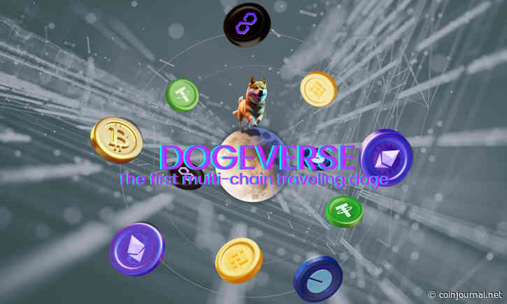 New Meme Coin ICO Dogeverse Raises $6 Million After Completing Coinsult Audit