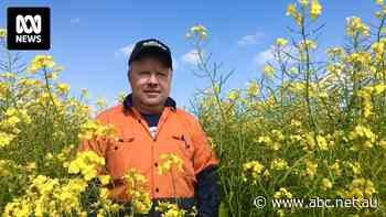 Despite the world's need for more food, farmers could be forced to grow fewer crops this year